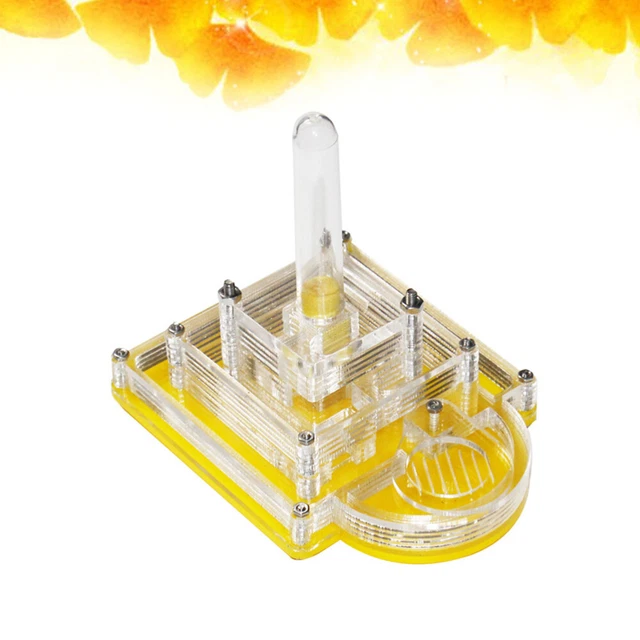 Transparente de granja para hormigas