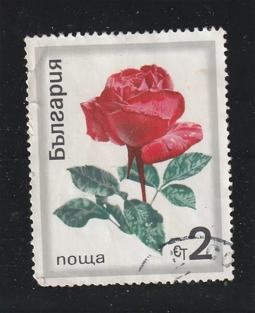 L5906 BULGARIE TIMBRE Y&T N° 1779 de 1970 " Roses diverses " Oblitéré