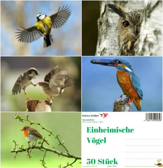 "EINHEIMISCHE VÖGEL": Postkarten-Set (5 Motive je 10 St.) ideal für Postcrossing