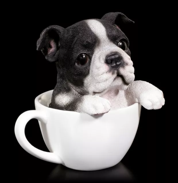 Hund in Tasse - Boston Terrier Welpe - niedlicher kleines Hündchen Deko Geschenk