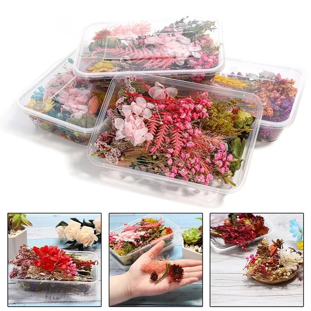 Caja de flores secas naturales de larga duración para hacer velas hágalo usted mismo artesanías
