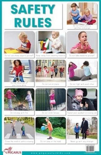 SAFETY RULES EDUCATIONAL Chart by Pegasus £12.77 - PicClick UK