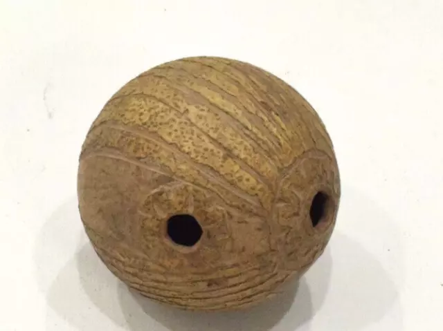 Papua New Guinea Coconut Whistle Abelam Tribe