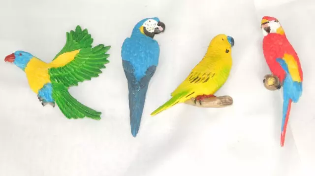 4 Fridge Magnet resin Parrots& Budgee parakeet very colorful *F