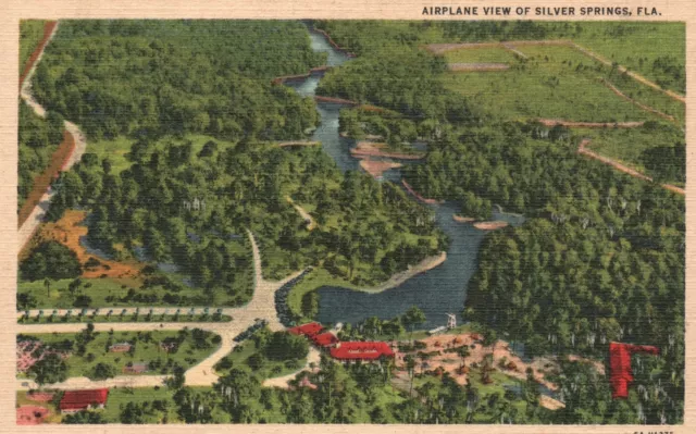 Vintage Postcard 1920's Airplane View of Silver Springs Florida FL