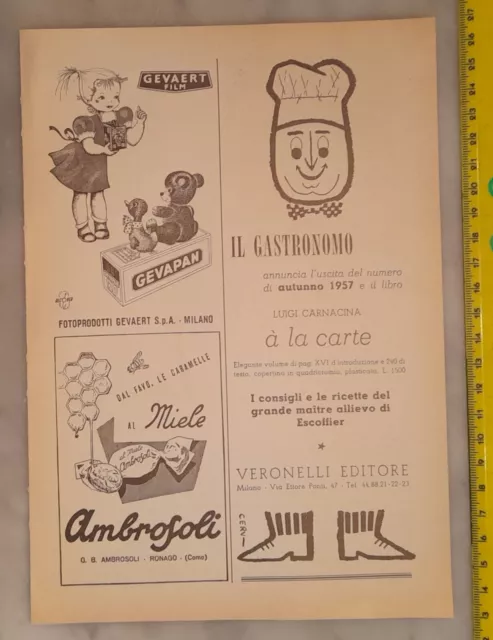 Pubblicità advertising GEVAPAN AMBROSOLI  IL GASTRONOMO   (anni Cinquanta)
