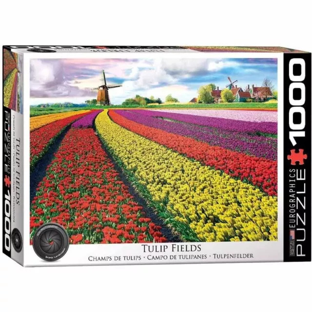 Puzzle 1000 piezas Campo de Tulipanes