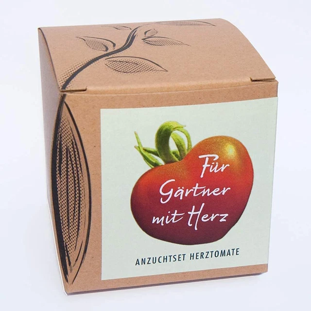 Kit de culture de tomates cardiaques légumes rares pour jardinier avec cœur