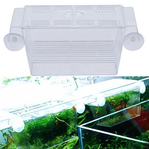 Boîte d'Élevage Poisson Terrarium en Plastique Reproduction Poisson pour