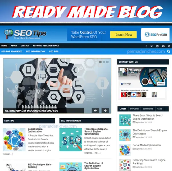 SEO Marketing Ready Made Blog Turnkey Niche Website/Blog EZ to Run & Customize