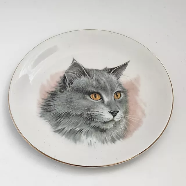 Wood & Sons Grey Cat Plate 8" EUC