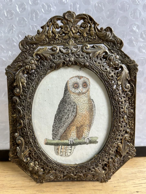 Antique Ornate Cast Iron Oval Picture Frame Victorian Frame Gold Brass Owl Photo