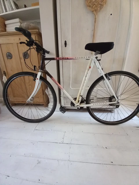 Raleigh on sale pioneer classic