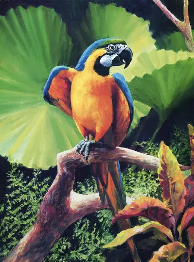 macaw parrot tropical bird jungle nature garden ceramic tile mural backsplash