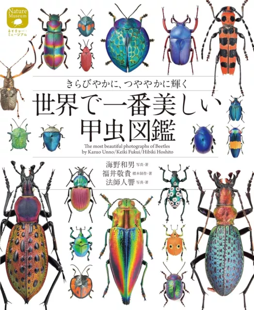 The most beautiful photographs of Beetles Illustrated Book Nature Museum Japan