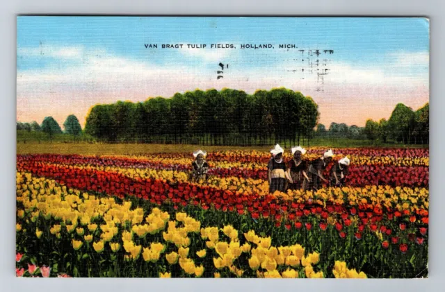 Holland MI-Michigan, Van Bragt Tulip Fields, c1958 Vintage Postcard
