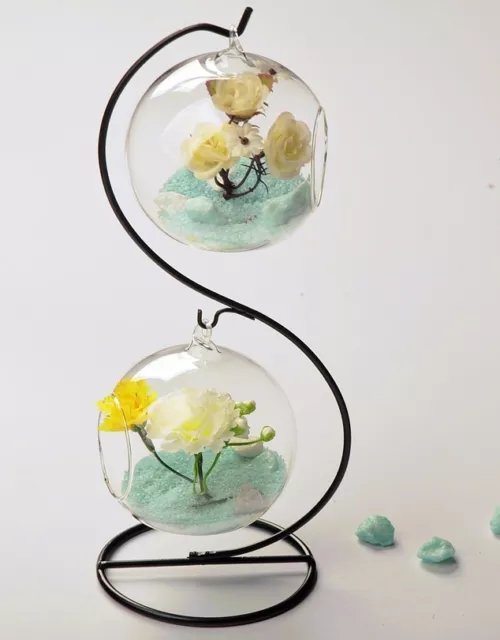 Glass hanging globe terrarium for air plant moss wedding gift candle decor stand