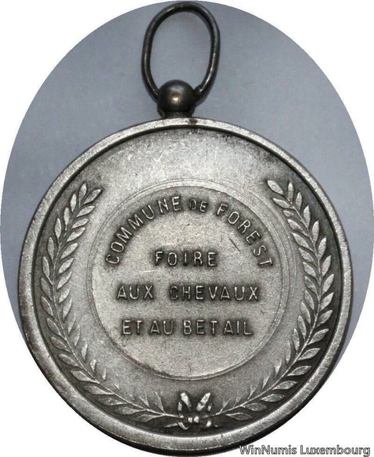 Médaille Belgique Roi Albert Cheval De Trait - Années 1950 - Bronze Argenté 57,81g 55mm - Qualité AU