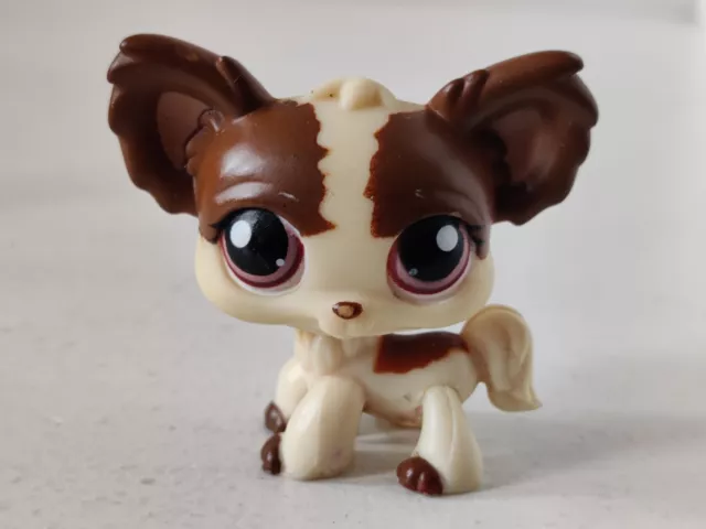 Hasbro LPS Littlest Pet Shop Cream Brown Chihuahua #385 Authentic Free Shipping