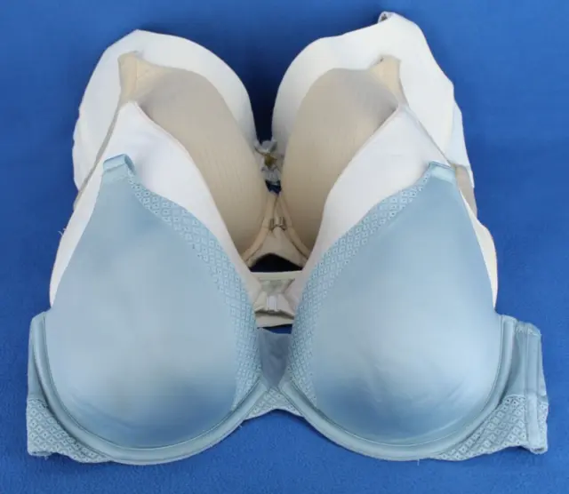 Ambrielle Fruit of The Loom Hanes Daisy Padded Push Up Bra Lot Size 40D #D3733