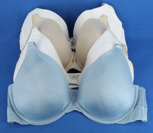 Ambrielle Fruit of The Loom Hanes Daisy Padded Push Up Bra Lot Size 40D #D3733 Ambrielle Fruit of The Loom Hanes Daisy Padded Push Up Bra Lot Size 40D #D3733