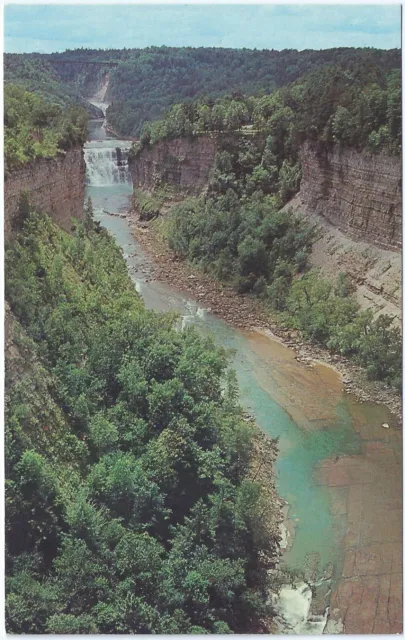Vintage Postcard Inspiration Point Genesee River Falls Letchworth State Park NY