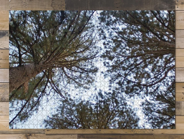 1000 piece puzzle for adults: Trees Nature Landscape