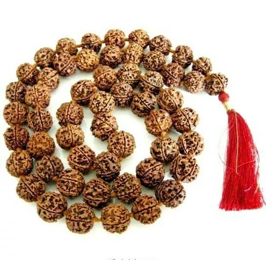 Five Mukhi Rudraksha Mala Surya Agni Siddha Mala 55 Japa Beads