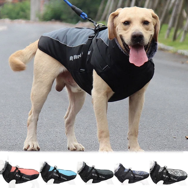Autunno inverno Vestiti con cappuccio Giacche per animali domestici For Dog