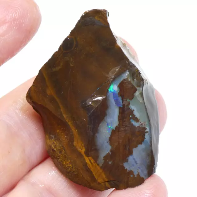 124.80 CT Australian Boulder OPAL Rough Unpolished Gemstone Specimen Video RAW 2