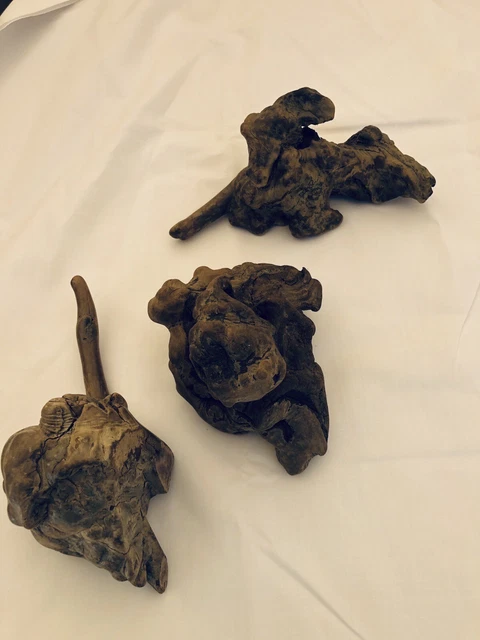 Set Of 3 Small Burl Root Wood