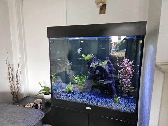 Juwel Lido 200 Aquarium Fish Tank   - Including Filter and Lighting