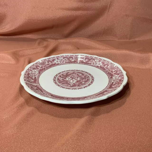 Vintage Syracuse China RESTAURANT 10" Dinner Plate, 97.k U.S.A.