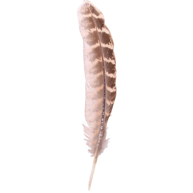 50 PIEZAS Plumas de faisán de gallina para boda molinería arte artesanía ropa decoración H8P6