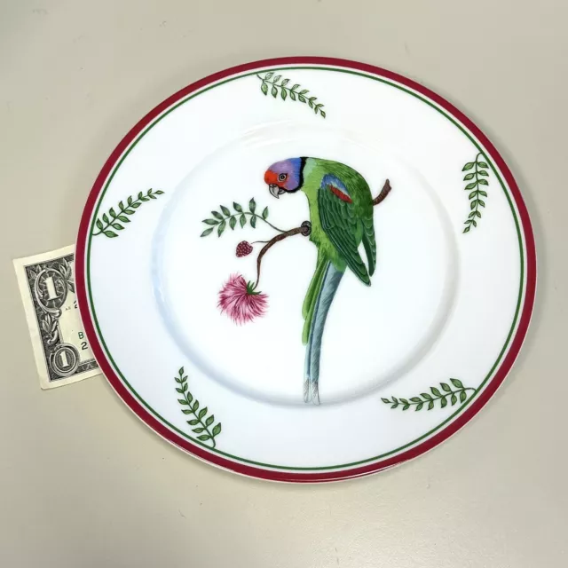 Lynn Chase China Parrots Of Paradise Salad / Dessert Plate-8 1/4"