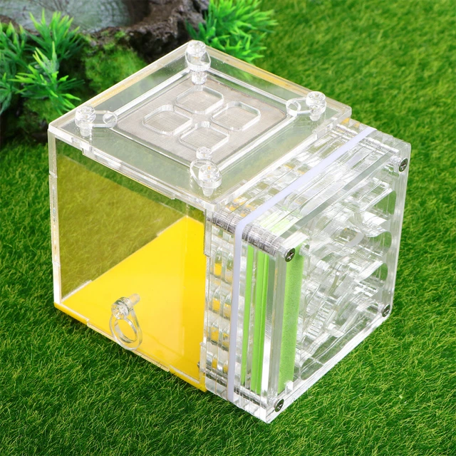 Toy Ecosystem Transparent Box Habitat Educational Toy Ant Habitat Kit