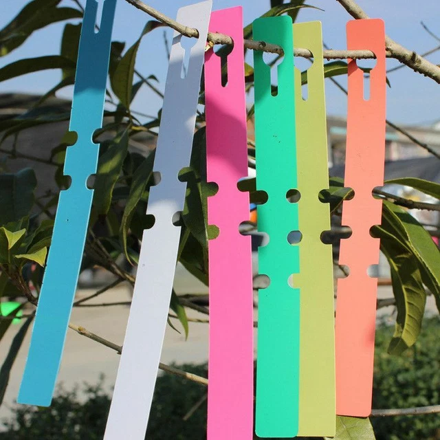 100 PCS PLANT Labels Professional Tags Tie on Tree Loop Lock Shrub Rose