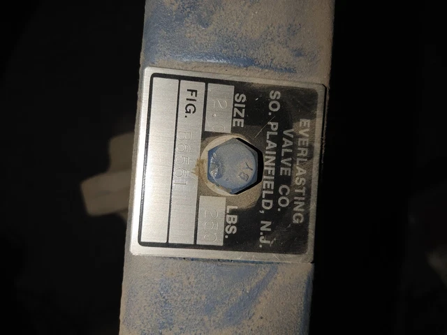 Everlasting Valve B6561 2″ 250# flg Slow Blowdown Valve