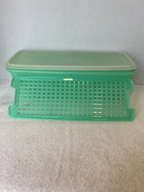 Boîte à Goûter Tupperware Oyster Box Verte | Modèle 36772 Éco Bêtises