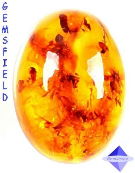 !!! IF - 4.00cts !!! Ambre de la Baltique 100% NATUREL !!! poli AAA++ !!!