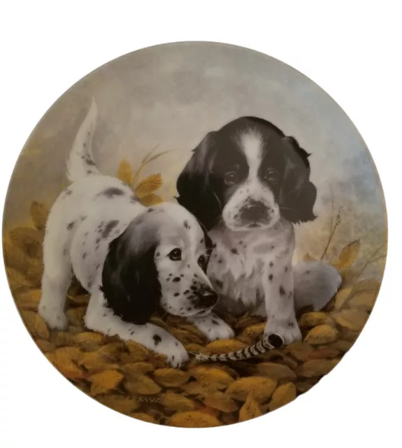 English Setters Plate Limited Edition Hunting Knowles Puppy 1989 Vintage