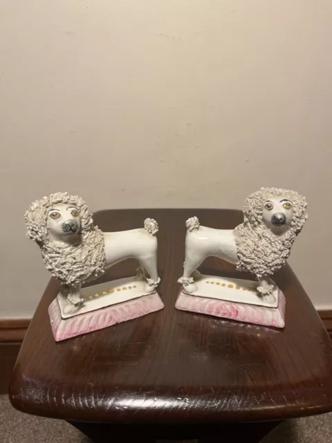 Pair Of Antique Staffordshire Confetti Dogs