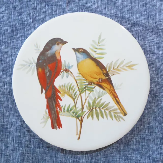 H & R Johnson Round Tile Trivet from ENGLAND Exotic Songbirds Wildlife Blue Bird