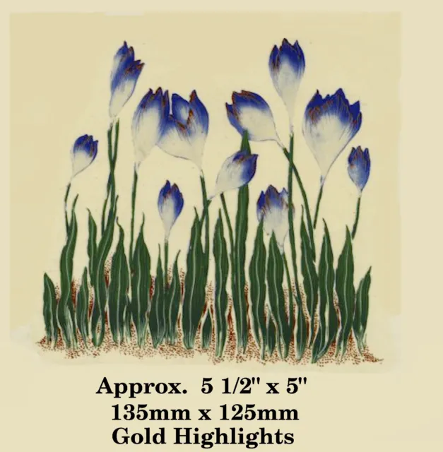 Large Ceramic decals CROCUS (gold highlights) IRIS. Flowers. Floral. WATERSLIDE