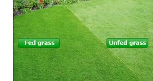 Spring Summer Professional Lawn Grass  Fertiliser & Moss Killer feed  1-250  kg