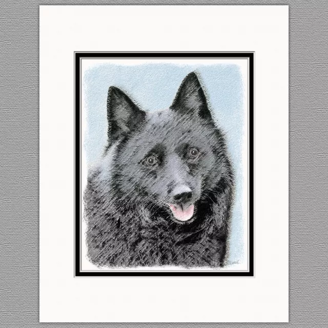 Schipperke Dog Original Art Print 8x10 Matted to 11x14