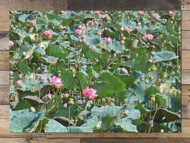 1000 piece puzzle for adults: Lotus Nature Landscape