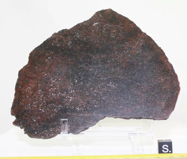 1 tranche polis de Météorite Tazzarine 002 Chondrite H5-S1-W2 (99.20 grs - 003*)