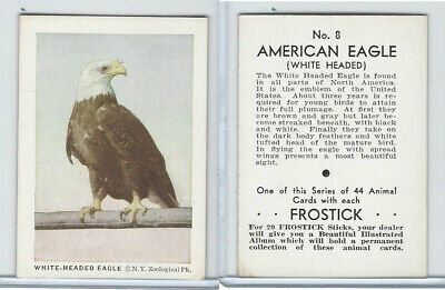 F55 Frostick, Animal Cards, 1933, #8 American Eagle