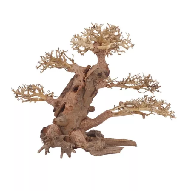 XL Bonsaï Arbre Nr.12071 Racine Bois Aquarium Déco Aquascaping Nature Oriental